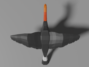 low poly hornbill Model 3D