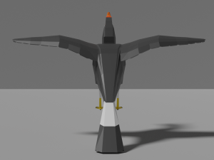 low poly hornbill Model 3D