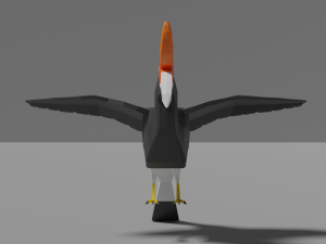 low poly hornbill Model 3D
