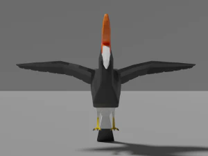 low poly hornbill 3D Model