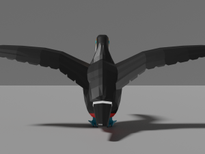 low poly toucan 3D Model