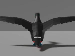 low poly toucan 3D Model