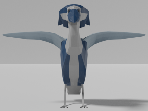 low poly boat-billed heron 3D 模型