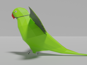 low poly parrot 3D 模型