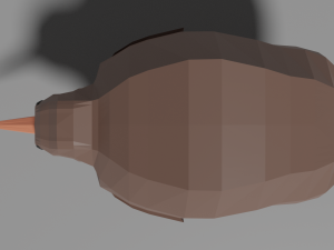 low poly kiwi bird 3D Model