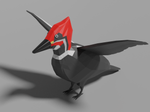 low poly woodpecker Modelo 3D