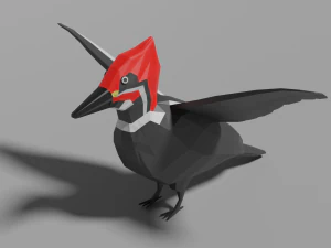 picchio basso poli Modello 3D