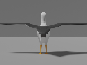 low poly albatross Modello 3D