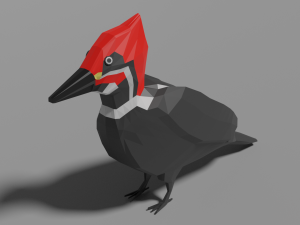 low poly woodpecker Modelo 3D