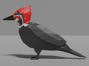 low poly woodpecker 3Dモデル