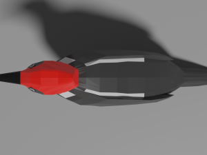 low poly woodpecker 3Dモデル