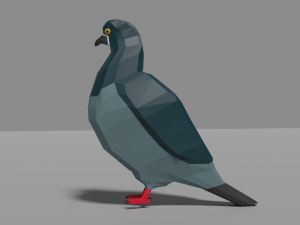 low poly pigeon 3D 모델