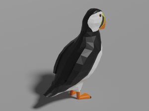 low poly seaparrot Model 3D