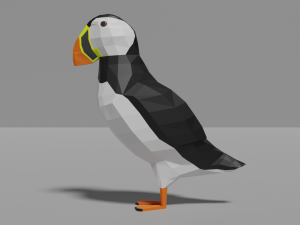 low poly seaparrot Model 3D