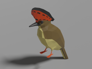 low poly royal flycatcher 3Dモデル