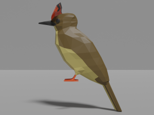 low poly royal flycatcher 3D Model