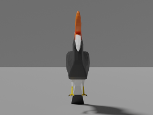 low poly hornbill Model 3D