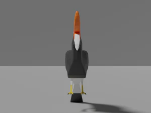 low poly hornbill 3D Model