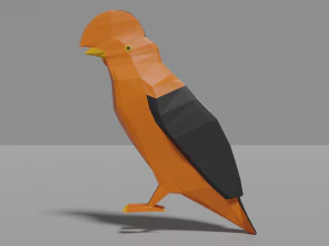 13 exotic birds pack low-poly 3D Model