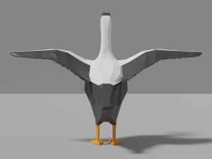 cartoon eider 3D Model