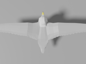 cartoon seagull 3D Модель