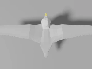 cartoon seagull 3D Model