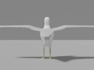 cartoon seagull 3D Model