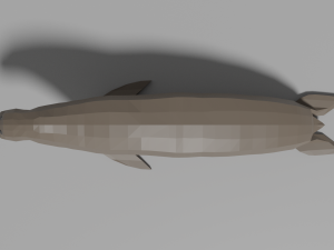 cartoon seal Modelo 3D