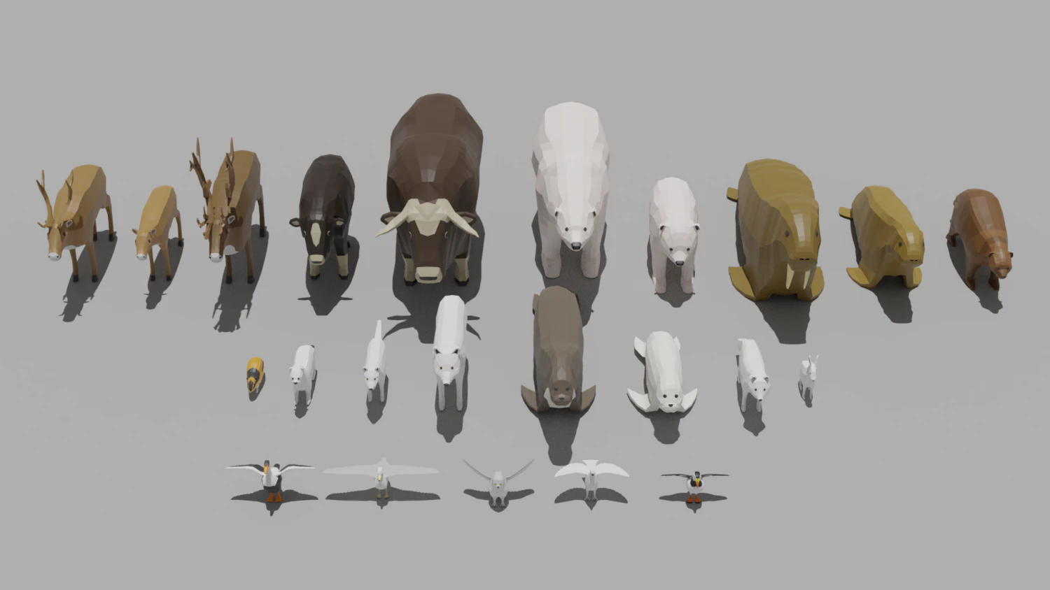 arctic animal pack 3D Model .c4d .max .obj .3ds .fbx .stl .blend