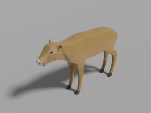 arctic animal pack Modèle 3D