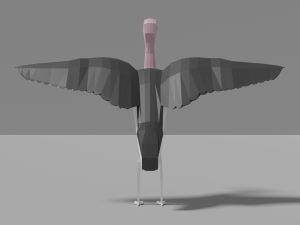 cartoon marabu 3D 모델