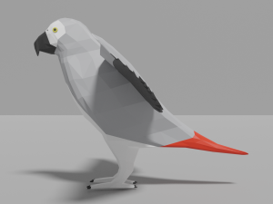 cartoon gray parrot Model 3D