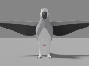 cartoon gray parrot Model 3D