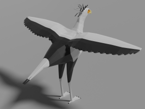 cartoon secretary bird Modèle 3D