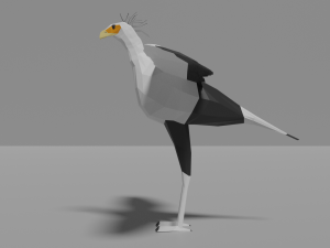 cartoon secretary bird Modèle 3D