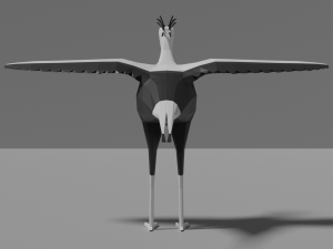 cartoon secretary bird Modèle 3D