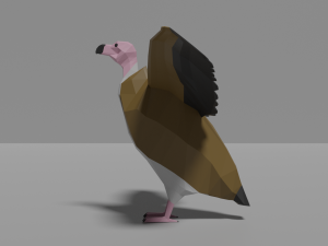 cartoon vulture 3D Model