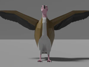 cartoon vulture 3D Model