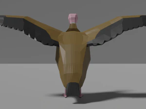 cartoon vulture 3D Model