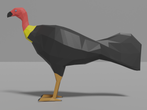cartoon brushturkey 3Dモデル
