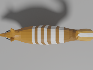 cartoon numbat Modello 3D