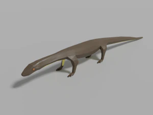 australian animals pack 3D Model