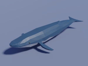 cartoon blue whale 3D Model