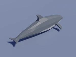 cartoon dolphin 3D Model