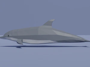 cartoon dolphin 3D Model