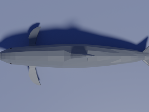 cartoon dolphin 3D Model