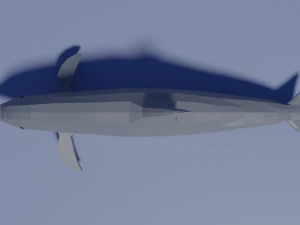cartoon dolphin 3D Model