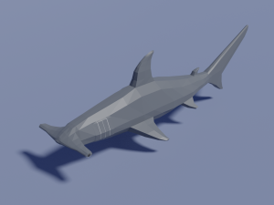 cartoon hammerhead shark 3D Model