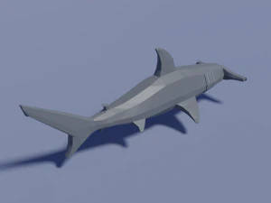 cartoon hammerhead shark 3D Model
