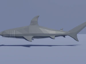 cartoon hammerhead shark 3D Model